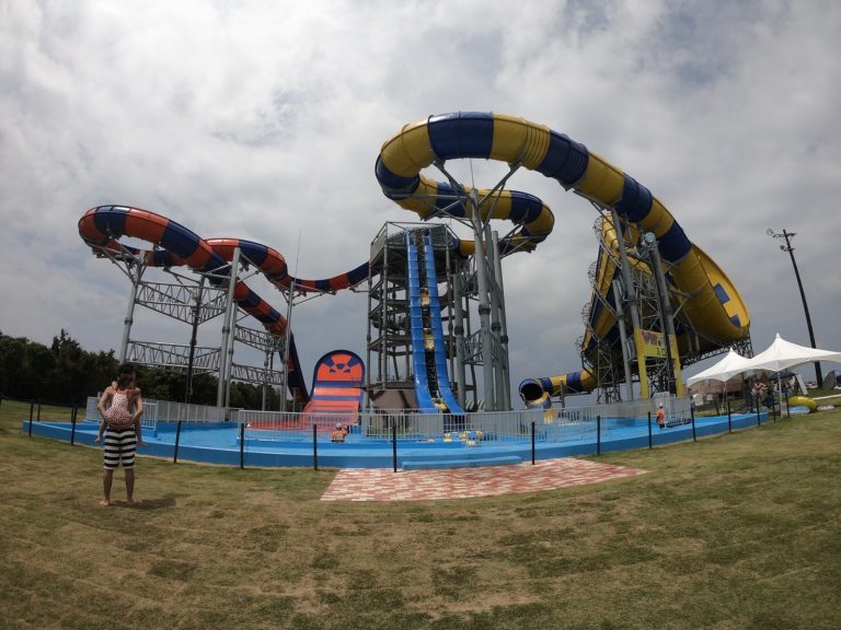 夏といえば芝政ワールド 石川県金沢市の人材派遣会社エー オー シーのブログ